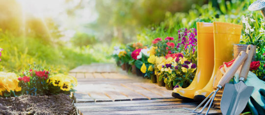 accessoires de jardinage