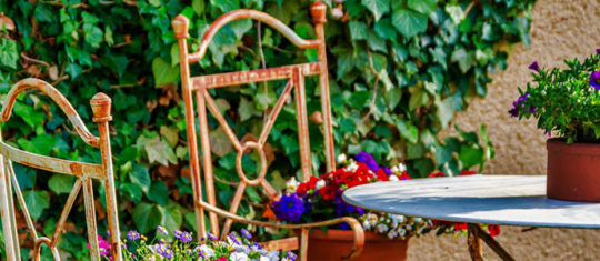 petit-jardin