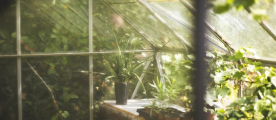 serre-jardin