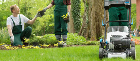 Trouver un jardinier paysagiste pour entretenir sa pelouse