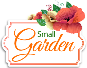 small-garden