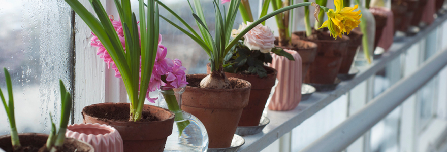 pots de fleurs et jardinières de qualité